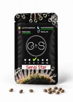 Sensi Star feminised Ganja Seeds