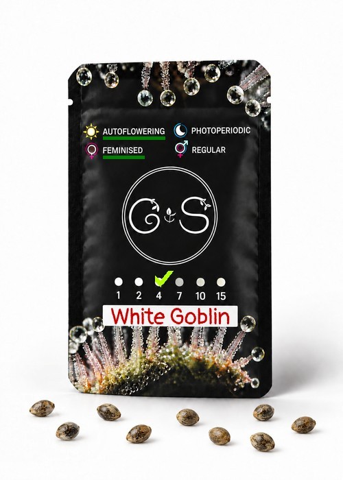 Семена марихуаны Auto White Goblin feminised Ganja Seeds