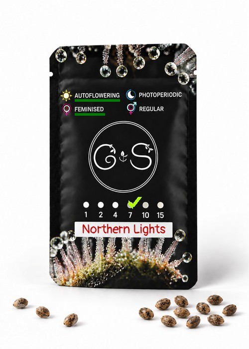 Семена марихуаны  Auto Northern Lights feminised Ganja Seeds