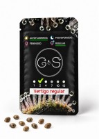 Auto Vertigo regular Ganja Seeds