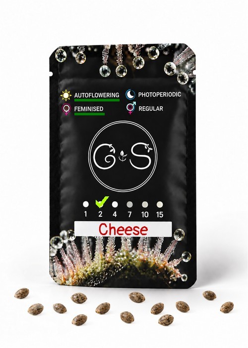 Семена  Auto Cheese feminised Ganja Seeds