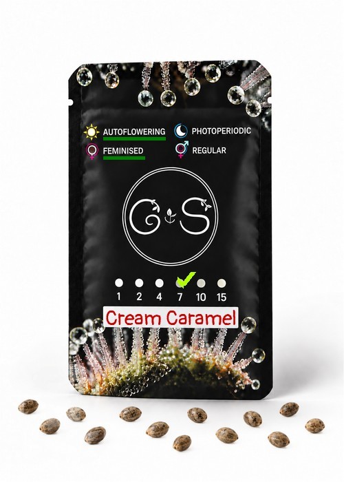 Семена  Auto Cream Caramel feminised Ganja Seeds