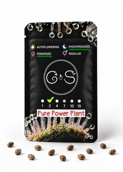 Семена марихуаны  Pure Power Plant feminised Ganja Seeds