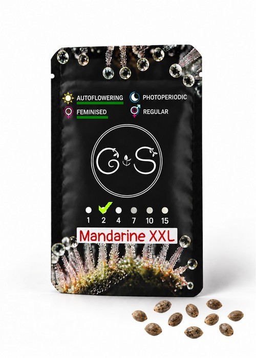 Семена  Auto Mandarine XXL feminised Ganja Seeds