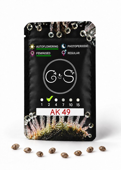 Семена Auto AK 49 feminised Ganja Seeds