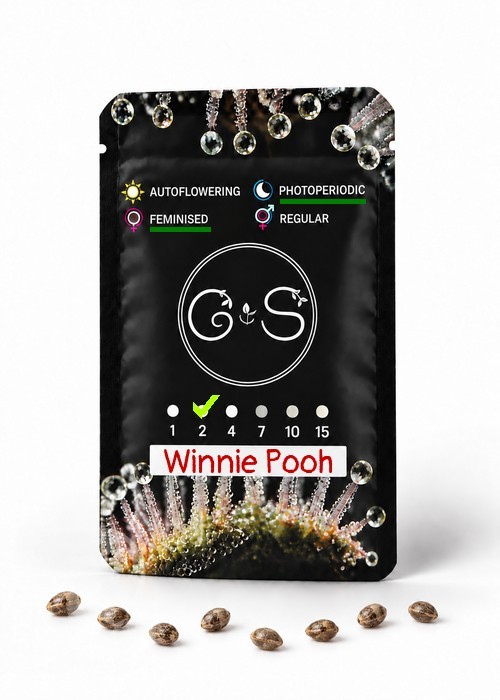 Семена каннабиса Winnie Pooh feminised Ganja Seeds