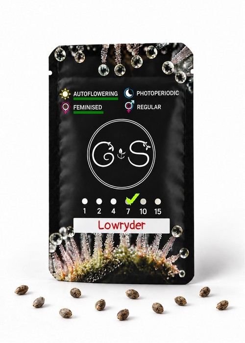 Семена каннабиса  Auto Lowryder feminised Ganja Seeds