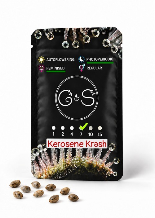Семена каннабиса  Kerosene Krash feminised Ganja Seeds
