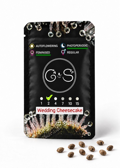 Семена  Wedding Cheesecake feminised Ganja Seeds