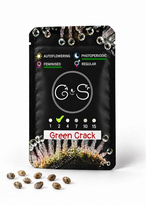Семена марихуаны  Green Crack feminised Ganja Seeds
