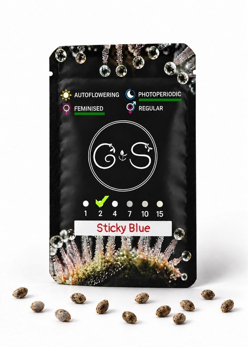 Семена каннабиса  Sticky Blue feminised Ganja Seeds