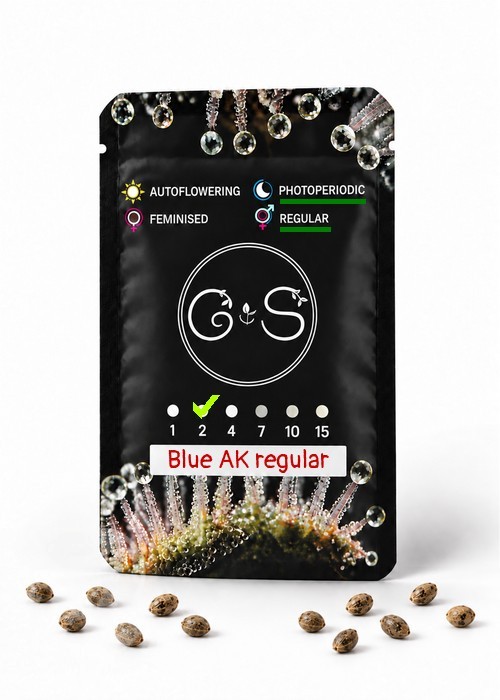 Семена марихуаны  Blue AK regular Ganja Seeds