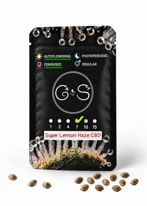 Семена ганжа Auto Super Lemon Haze CBD feminised Ganja Seeds