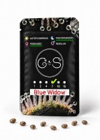 Blue Widow feminised Ganja Seeds