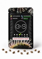 Jamaica Blueberry regular Ganja Seeds