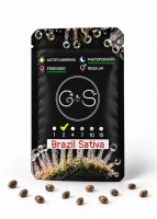 Brazil Sativa feminised Ganja Seeds
