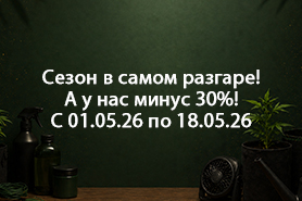 Сезон в самом разгаре! А у нас минус 30%!