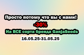 -30% на все сорта GanjaSeeds — просто потому что вы с нами!